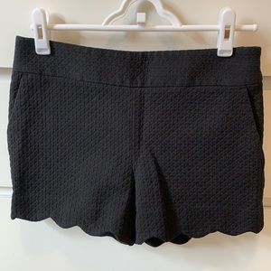 Ann Taylor Riviera Short Size 0
